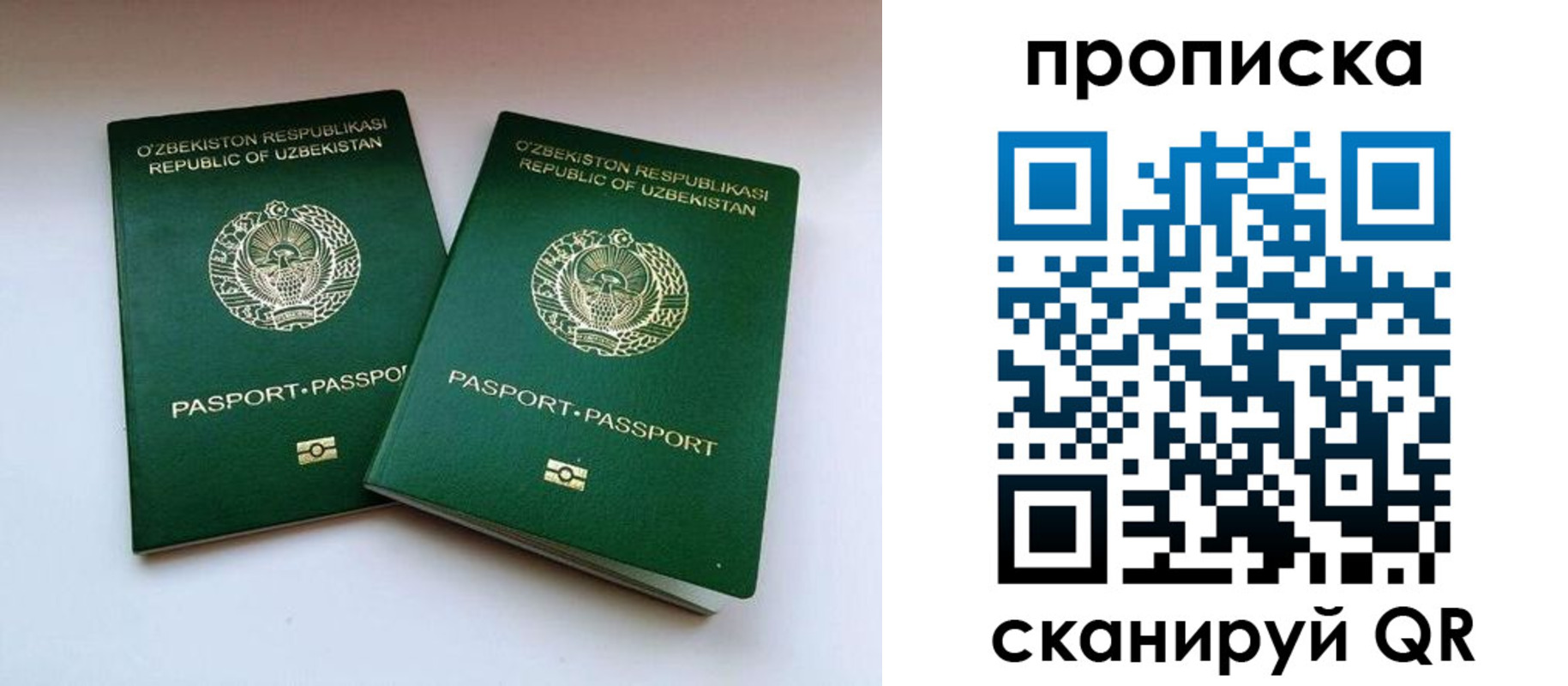 прописка поиск в Омской области